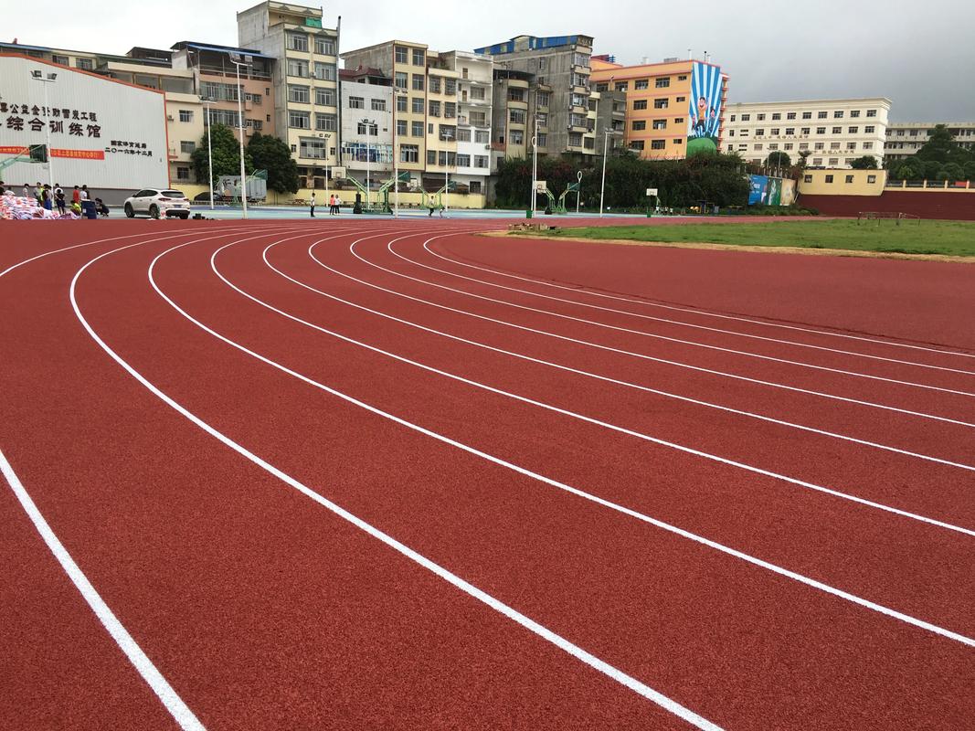 丹东市学校塑胶跑道塑胶跑道材料 - 价格